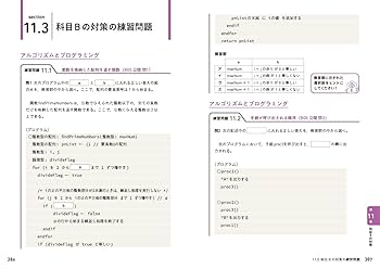 【中古】 基本情報技術者どこでも速習ハンドブック 暗記速効 平成１９年度/インフォレスト/ドキュメントシステム 情報処理教科書 出るとこだけ！基本情報技術者［科目B］予想＋
